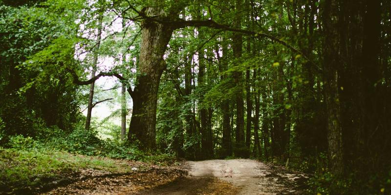 从7天预报看城市降雨变迁：历史天气数据揭示的气候变化与生活指数影响