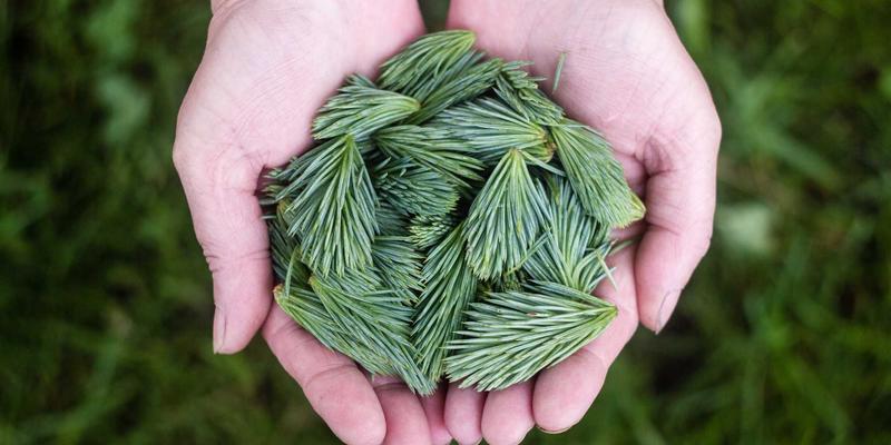 城市内涝预警新思路：结合短时强降雨预报与空气质量生活指数，科学防汛