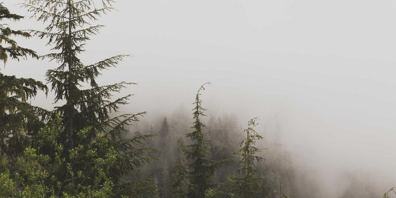 天气预报34：掌握实时天气与7天预报，活用生活指数规划每一天