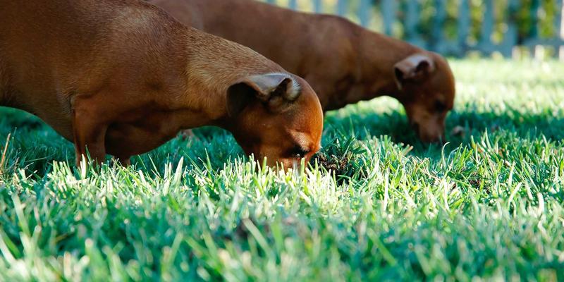天气预报36：实时天气与空气质量监测，打造智慧气象服务新体验