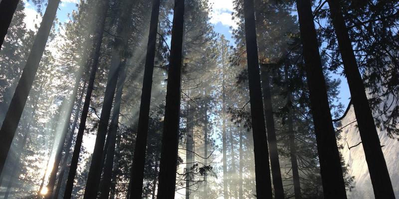 天气预报37°C：如何精准解读晴雨8变化与实时天气预警