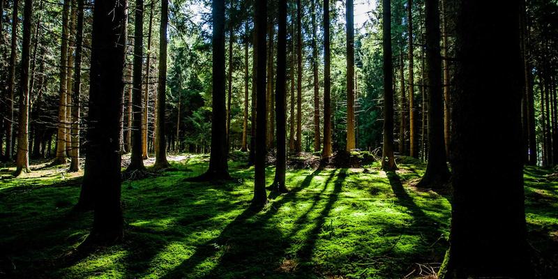 天气预报59：解锁7天预报与生活指数的智慧生活指南