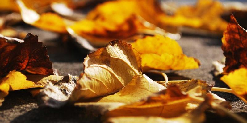 天气预报64：解锁晴雨8生活指数，让天气服务你的日常决策