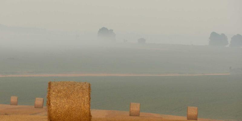天气预报95：不止于晴雨，更懂你的气象服务与生活指南
