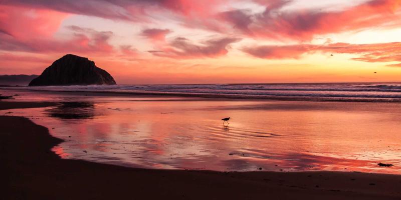 天气预报入门：读懂气象服务与7天预报的实用指南