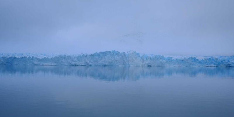 天气预报如何预测疾病传播？解析登革热、流感与实时天气的关联