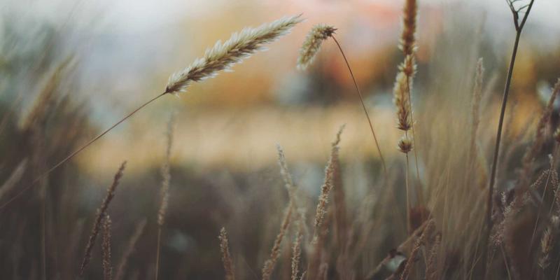 实时天气数据解码城市热岛：如何利用天气预报与生活指数优化城市规划与能源策略