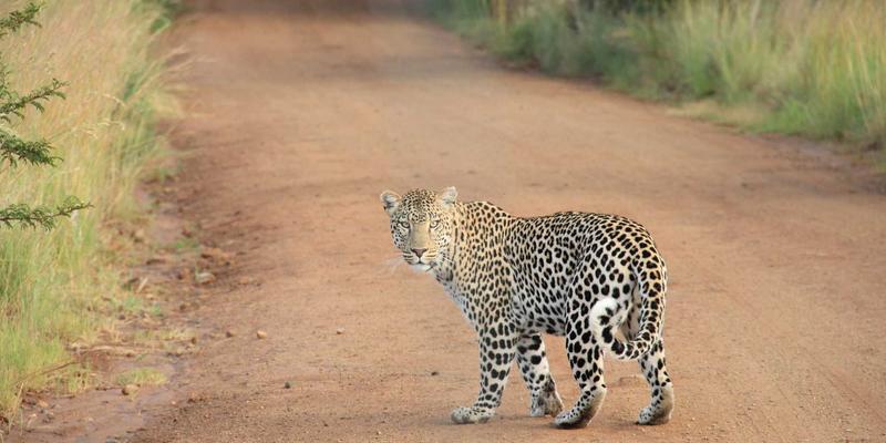建筑行业天气风险管控指南：如何利用实时天气与7天预报精准应对连续降水与大风预警