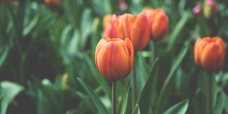 晴雨8与空气质量：实时天气如何操控你的情绪、效率与钱包