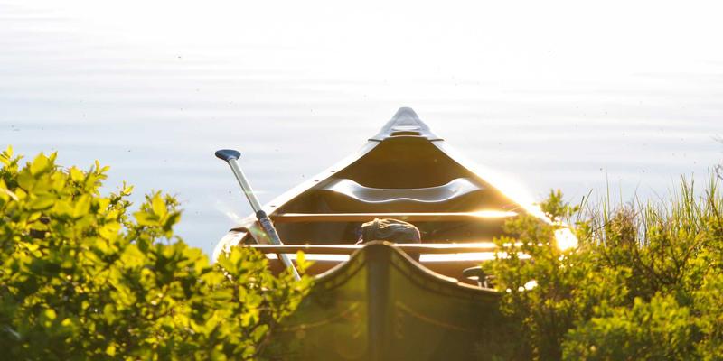 精准农事：如何利用实时天气与气象服务优化农业种植安排